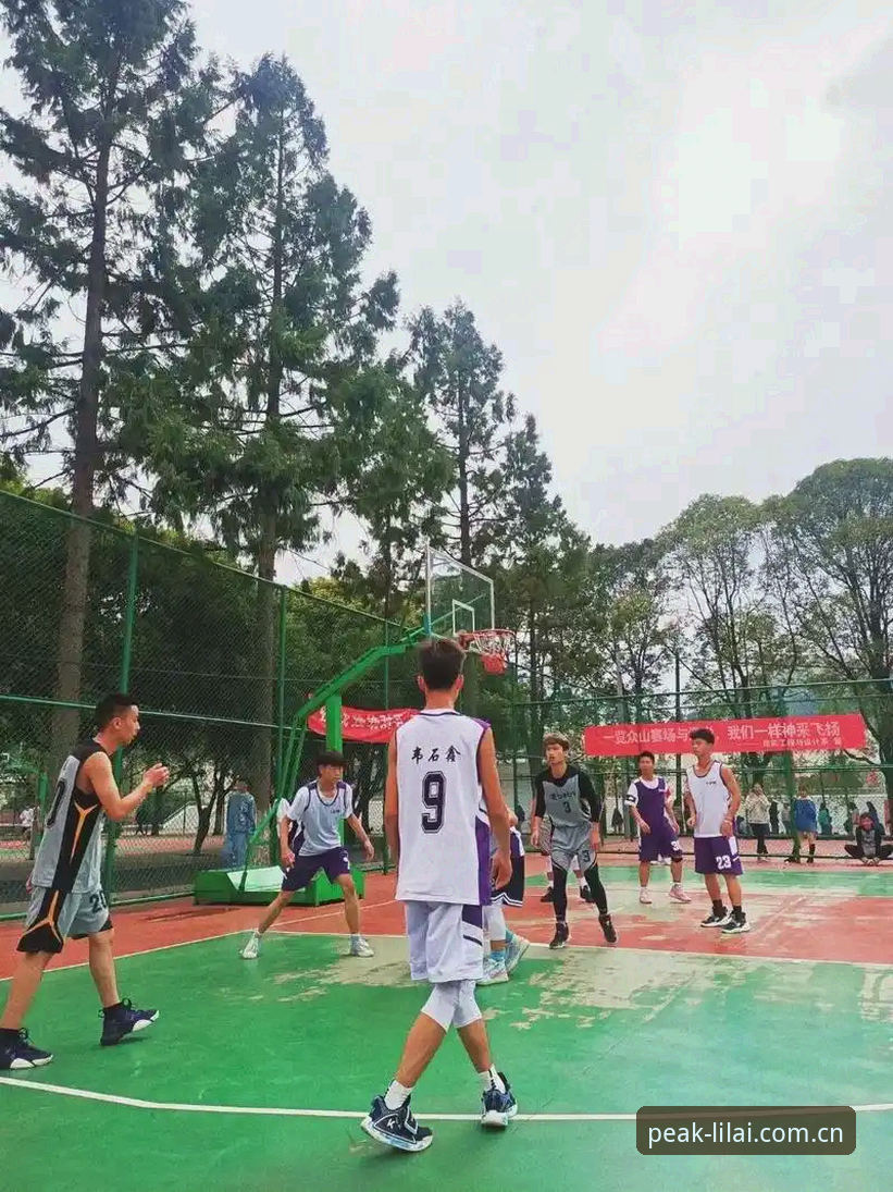 利来体育平台最新动态：2025年行业深度评测，哪个平台更适合体育爱好者？